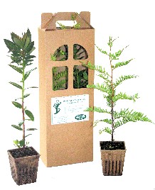 Tree Seedling 2-Pack